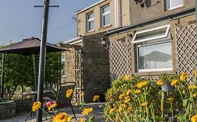 3 Guys Cottages